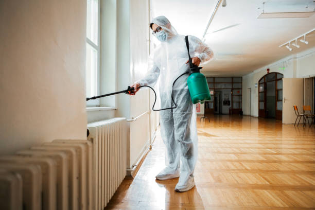 Wasp Removal Services in Thorsby, AL