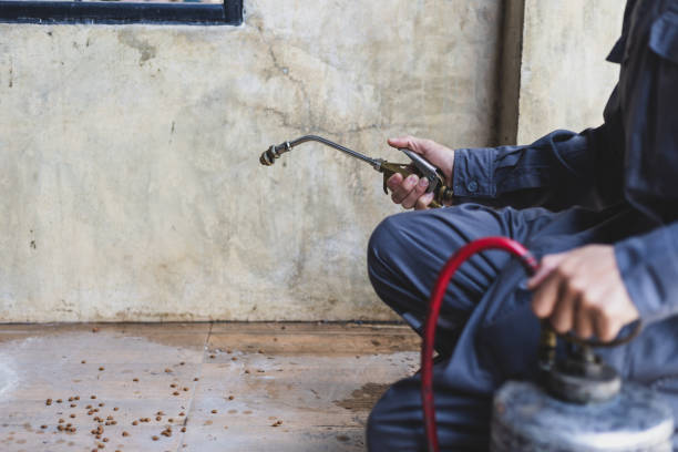 Trusted Thorsby, AL Pest Control Experts